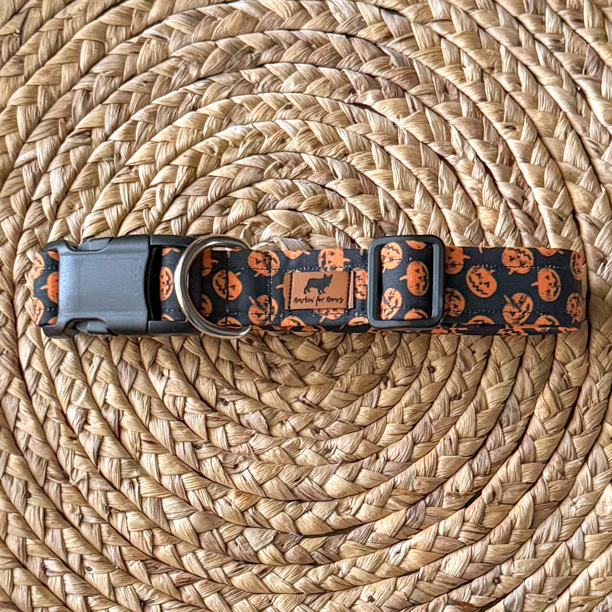 Pumpkin Carving Collar