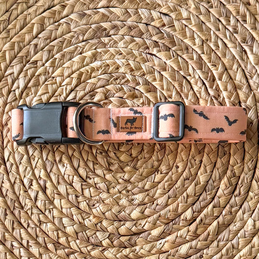 Midnight Flight (Orange) Collar