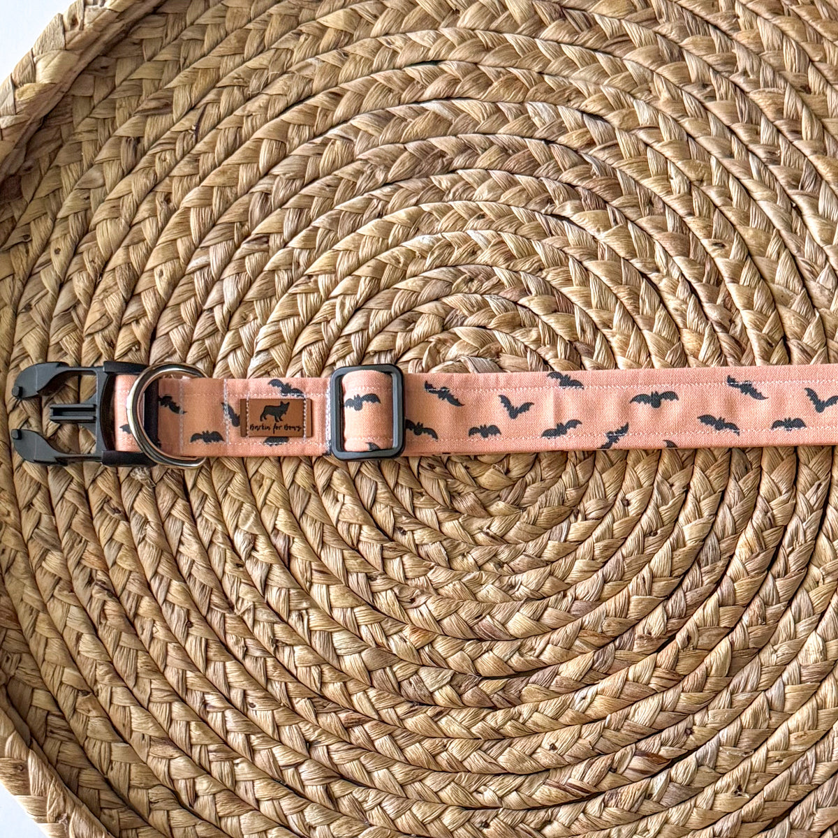 Midnight Flight (Orange) Collar