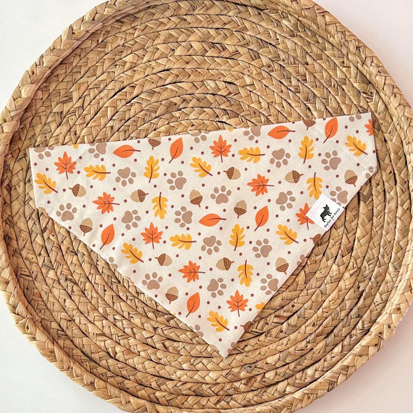Autumn Bandana
