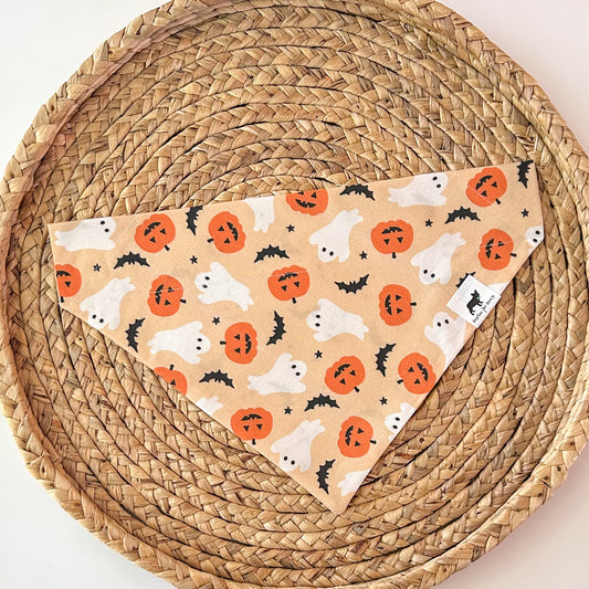 Spook-tacular Bandana