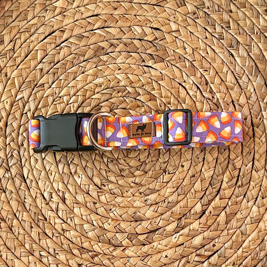 Candy Corn Collar