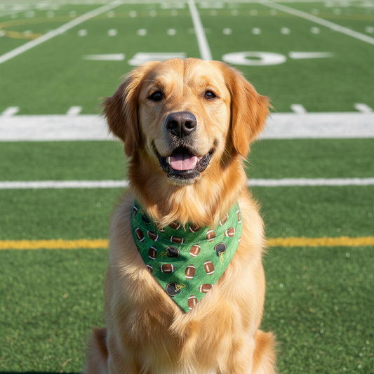 Football Bandana