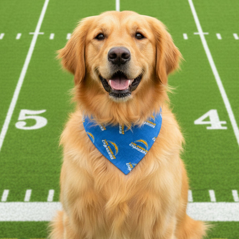 Chargers Bandana