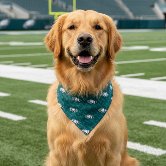 Eagles Bandana