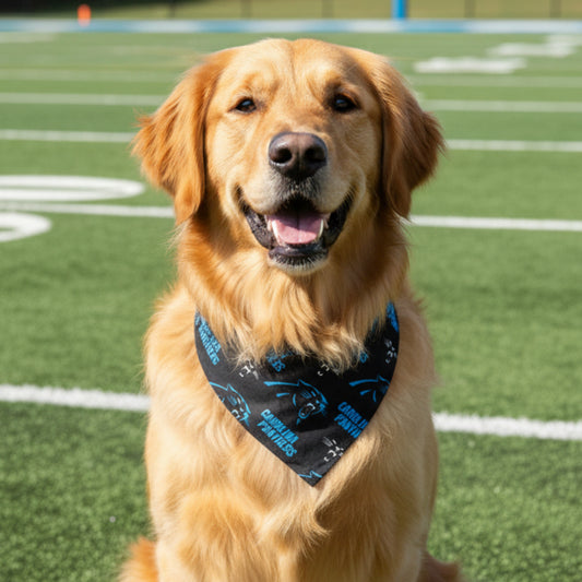 Panthers Bandana