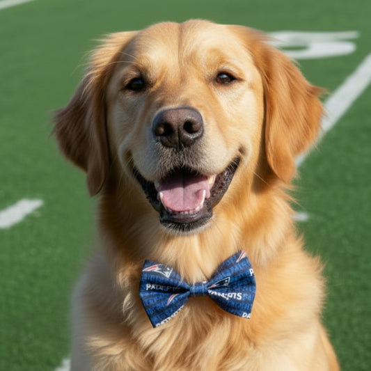 Patriots Bow Tie