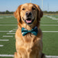 Eagles Bow Tie