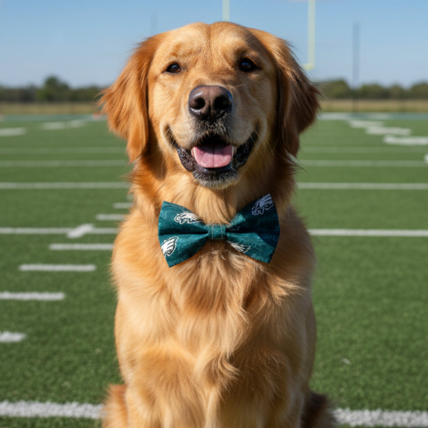 Eagles Bow Tie