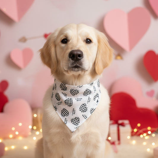 Lover Boy Bandana
