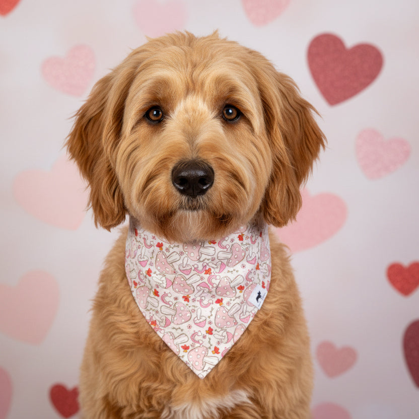 Love You So Mush Bandana