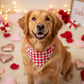 Red Checkered Bandana
