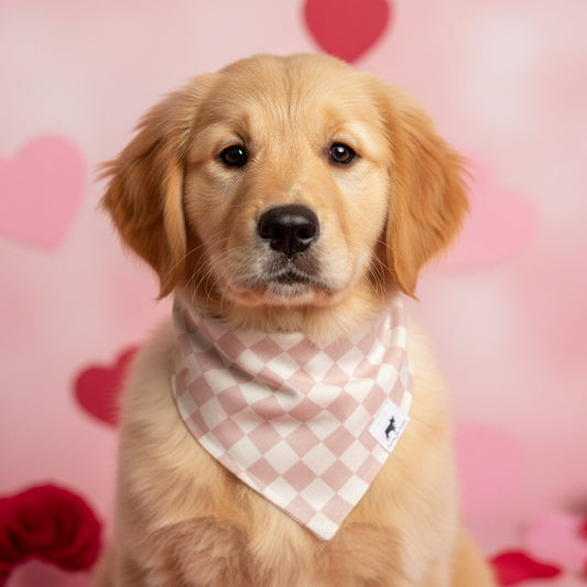 Pink Checkered Bandana