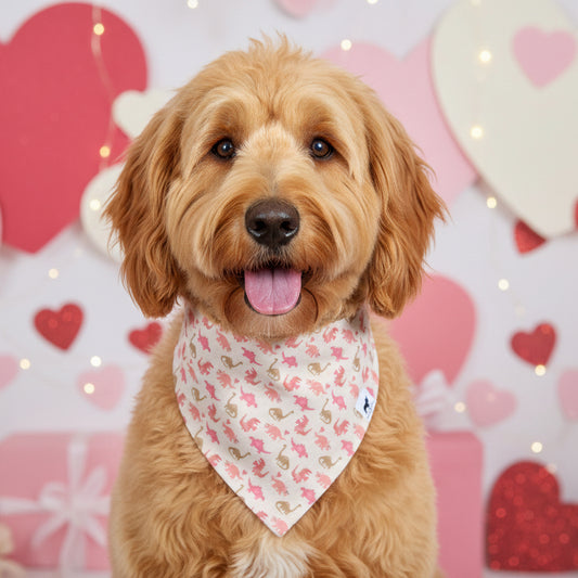 Loveasaurus (Pink) Bandana