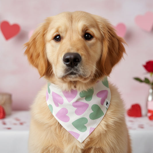 You Make My Heart Beat Bandana